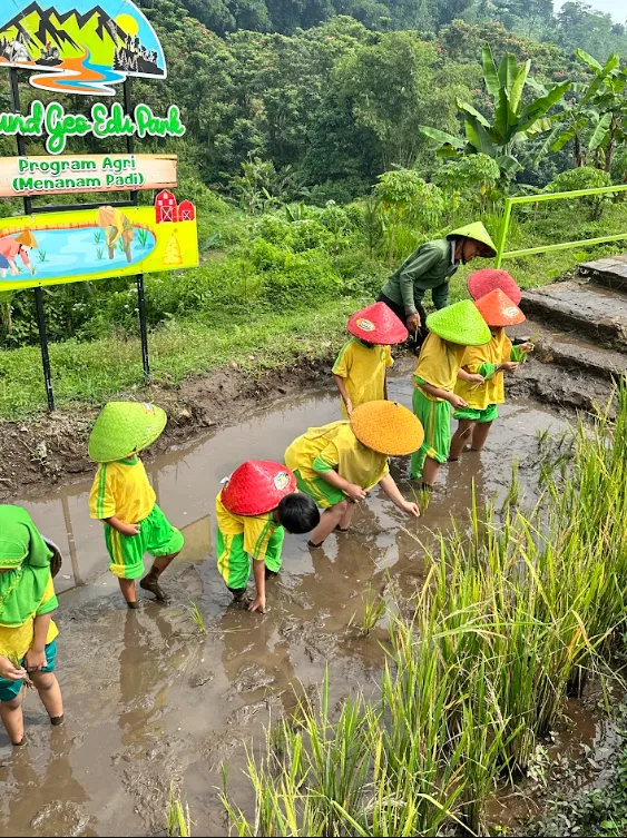 Berita TKIT Al-Fathin
